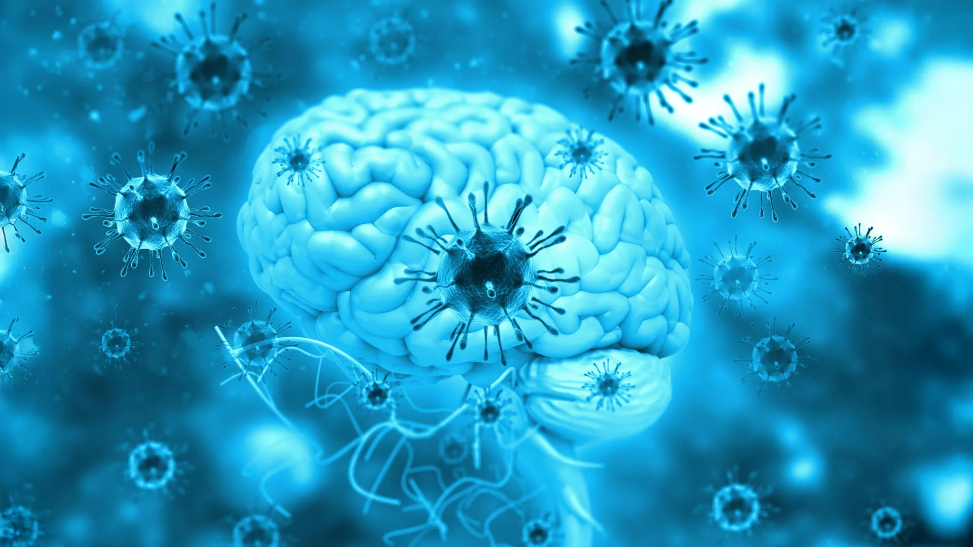 Bradyzoite subtypes rule the crossroads of Toxoplasma development 1 bradyzoite subtypes rule the crossroads of toxoplasma development