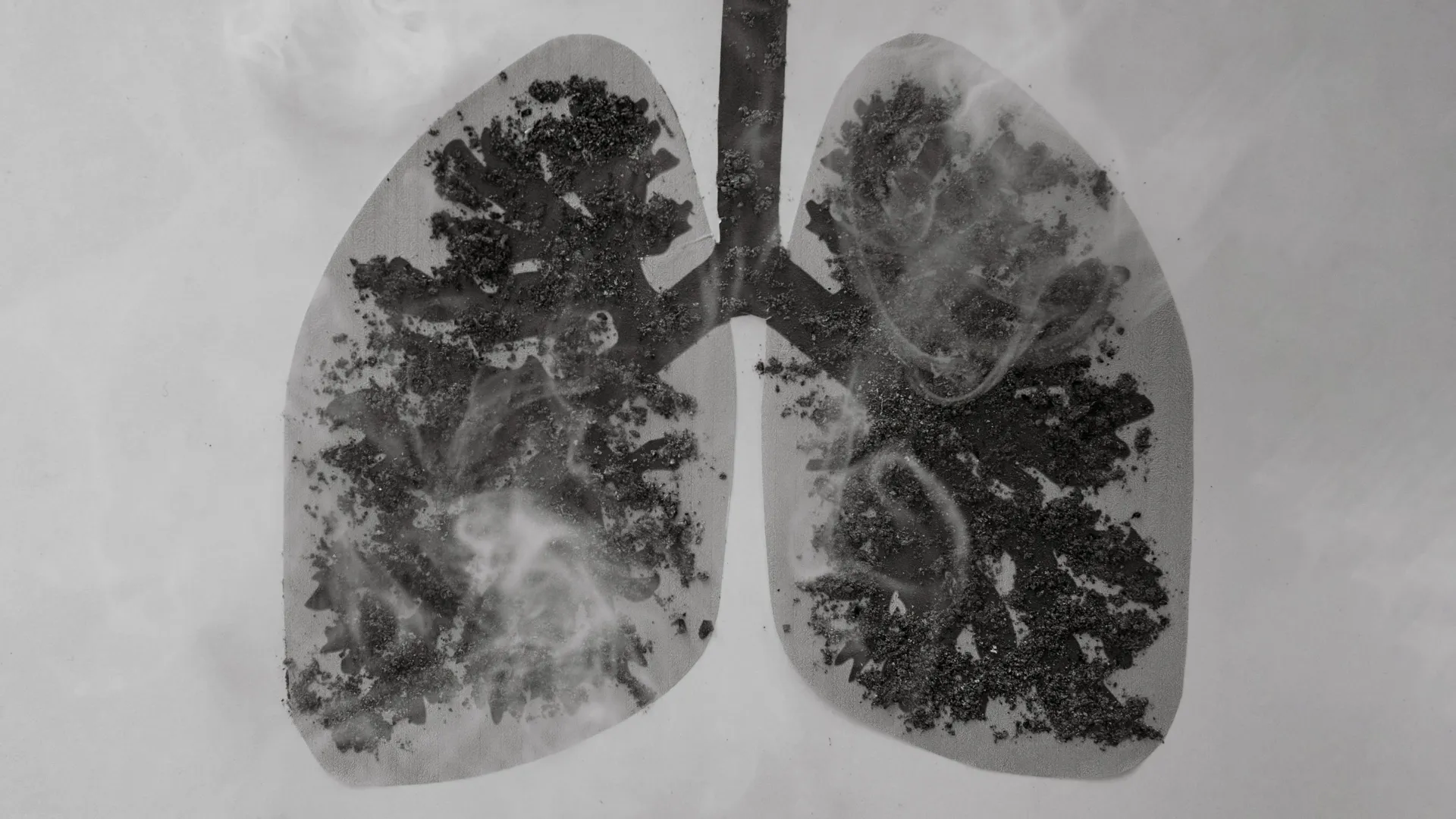 copd lung cells show significantly higher carbon accumulation than those of smokers without the disease