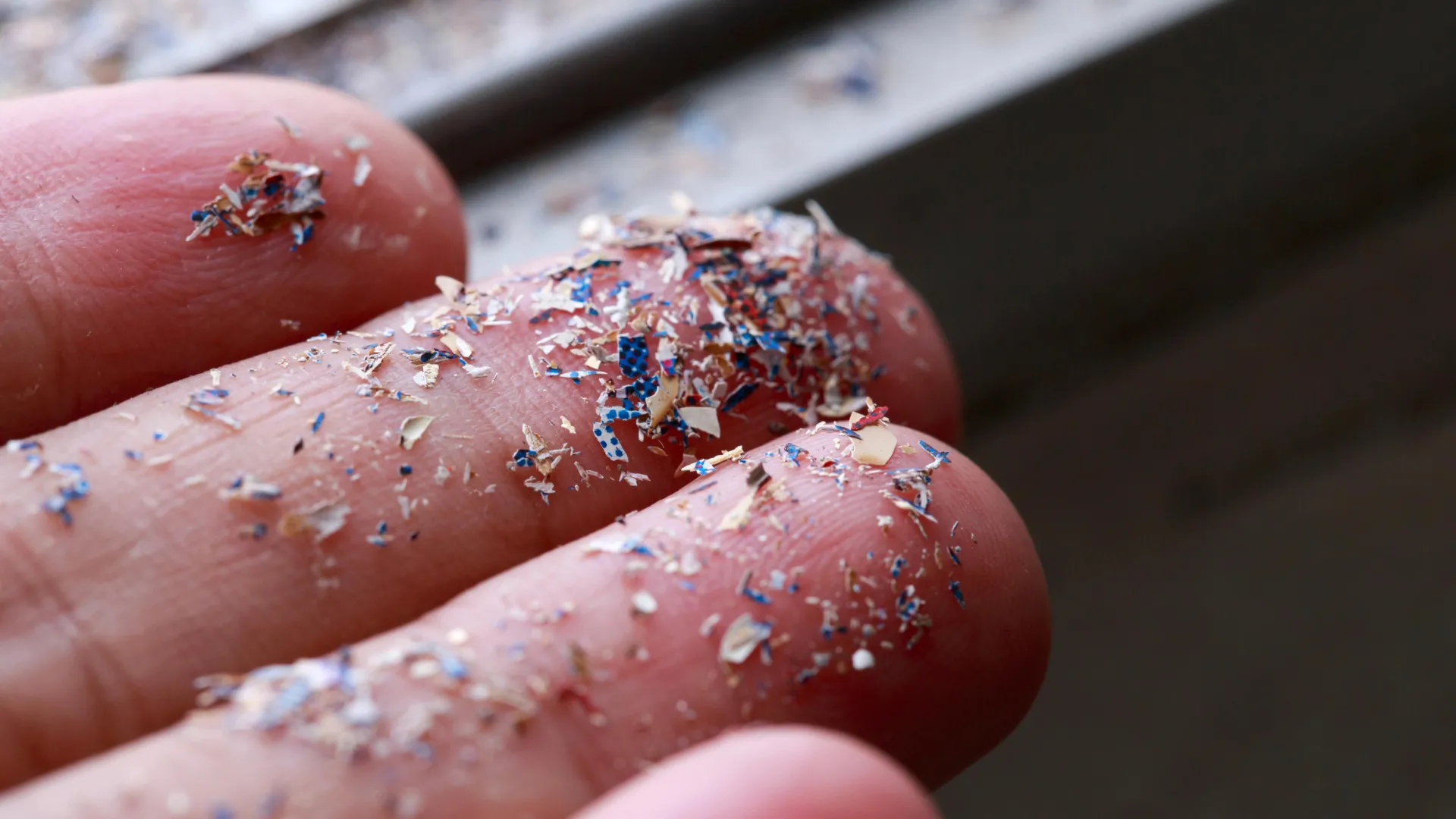 Microplastics Found at Higher Concentrations in Prostate Cancer Tumors, Raising New Health Concerns 1 microplastics found at higher concentrations in prostate cancer tumors raising new health concerns