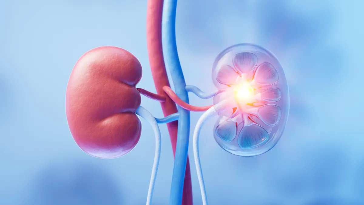 R1 Therapeutics Launches with $77.5 Million, Unveiling Novel Oral Treatment for Chronic Kidney Disease Complication 1 r1 therapeutics launches with 77 5 million unveiling novel oral treatment for chronic kidney disease complication