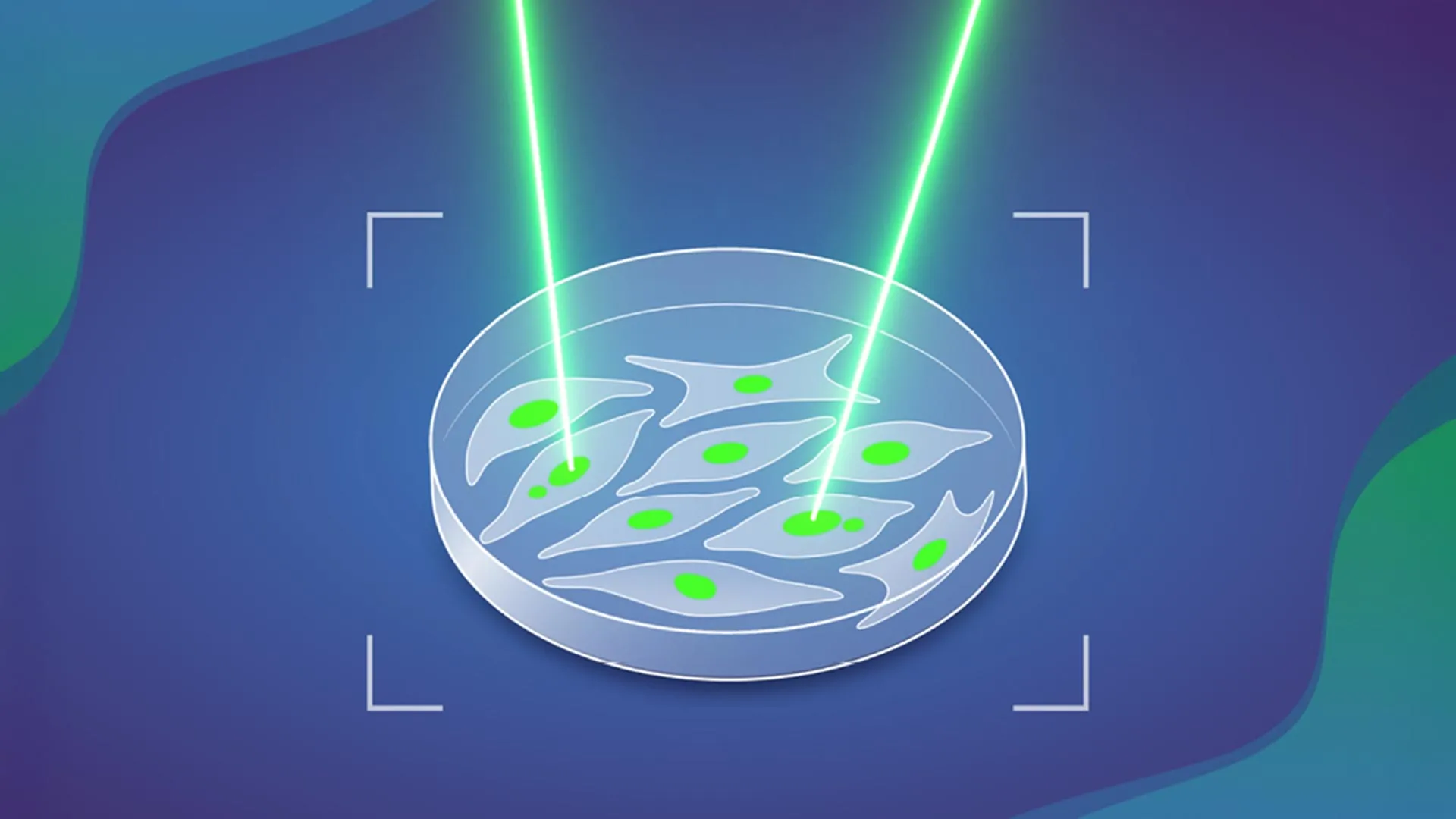 Revolutionary AI Tool Unlocks Secrets of Cancer Initiation by Automating Detection of Chromosomal Abnormalities 1 revolutionary ai tool unlocks secrets of cancer initiation by automating detection of chromosomal abnormalities