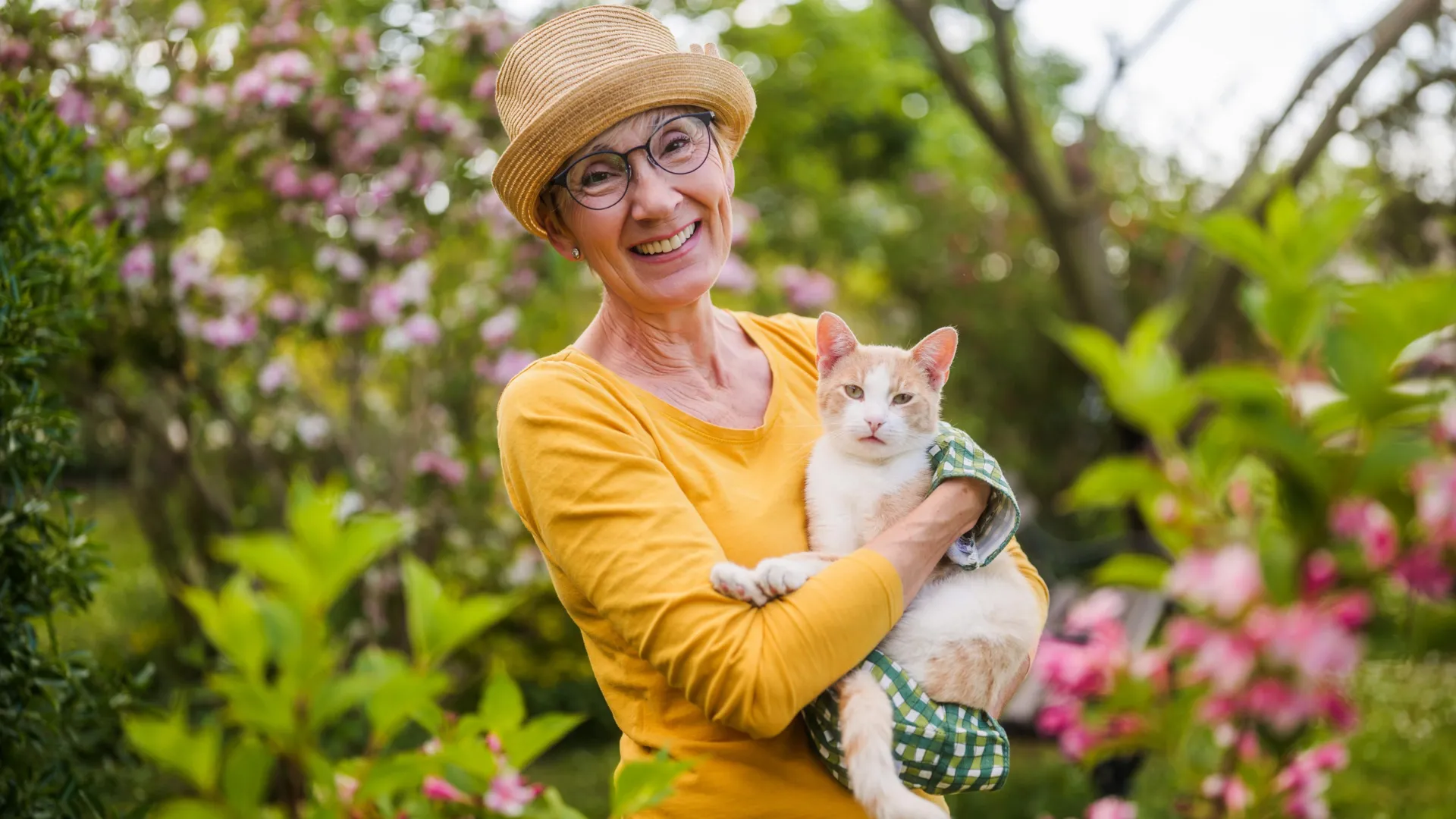 the surprising cancer link between cats and humans 1