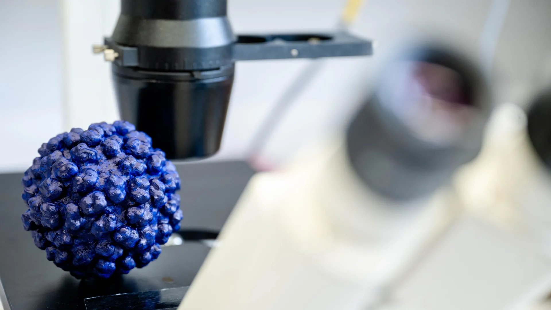 bemnifosbuvir a hepatitis c drug shows potent efficacy against hepatitis e offering hope for a neglected global health threat