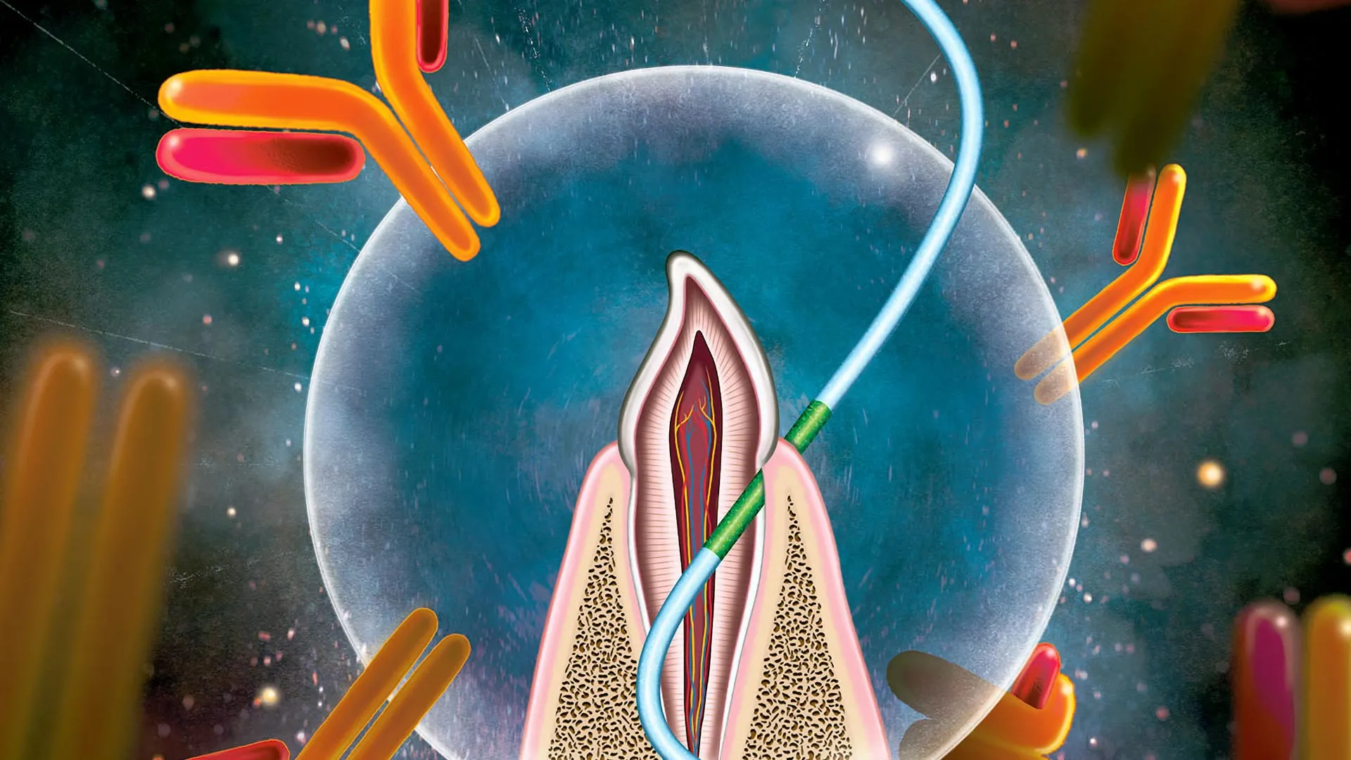 innovative floss based vaccine delivery method targets junctional epithelium to enhance mucosal immunity and systemic protection