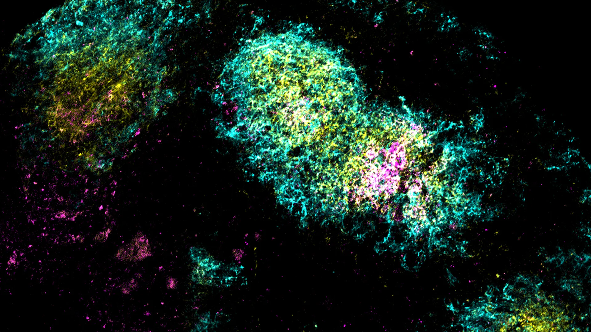 mit and scripps researchers develop dual adjuvant strategy for potent single dose hiv vaccine candidates