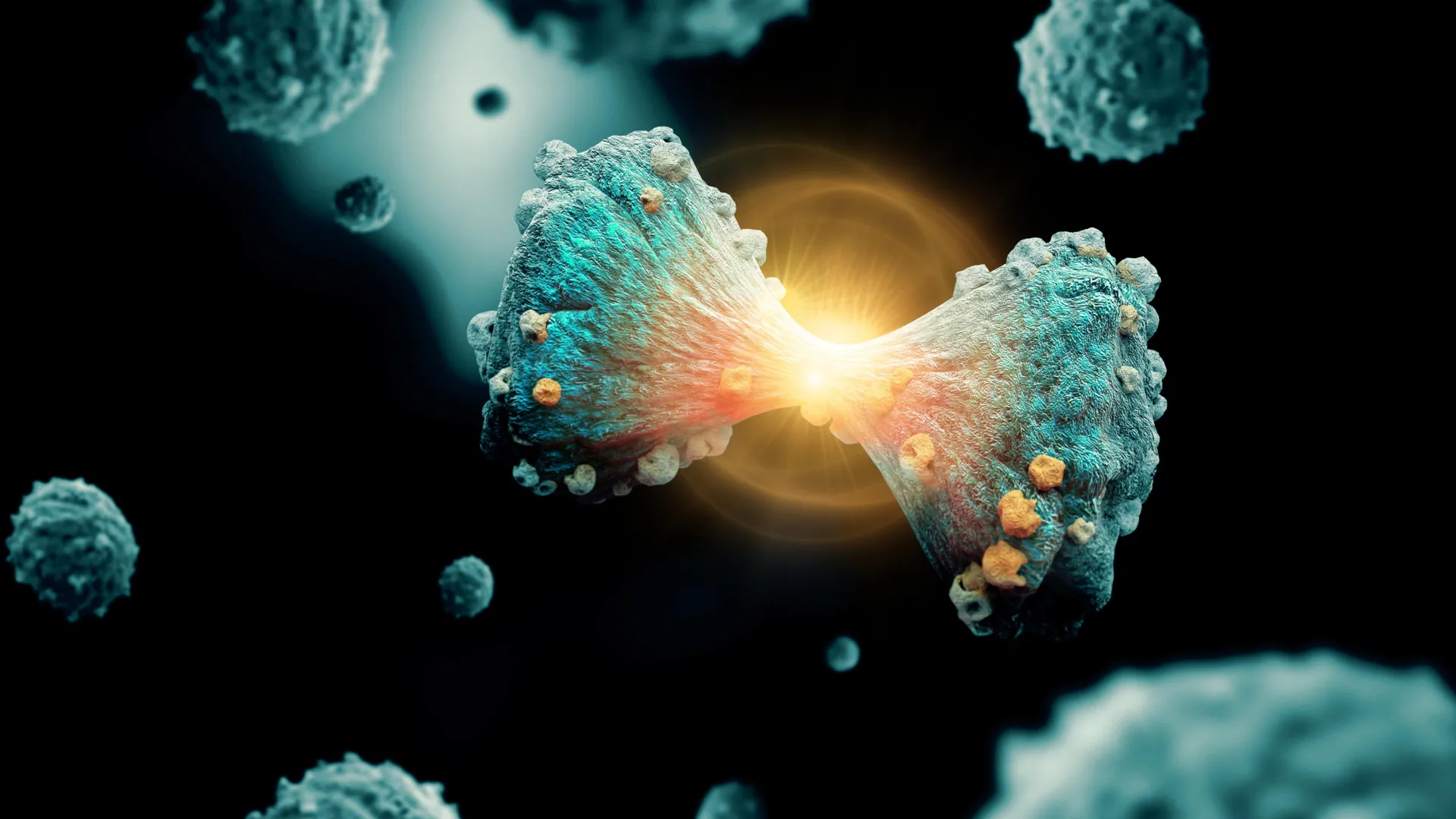 Researchers at Duke University Discover a Novel Enzyme Target That Kills Multiple Myeloma Cancer Cells and Enhances Existing Therapies 1 researchers at duke university discover a novel enzyme target that kills multiple myeloma cancer cells and enhances existing therapies