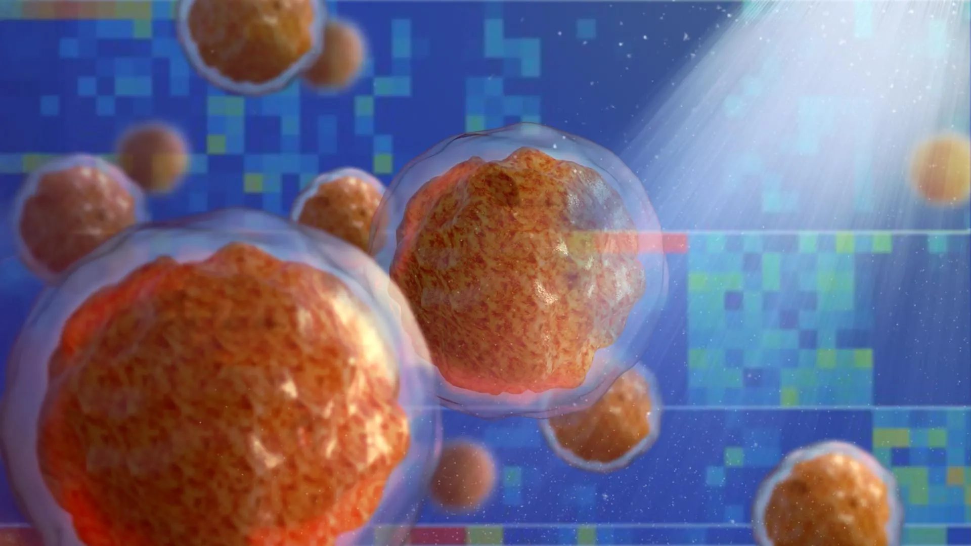 the bone marrow microenvironments inflammatory remodeling drives early blood disease development