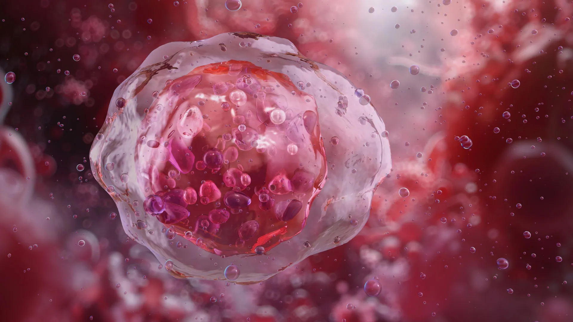 unveiling the explosive genesis and rapid evolution of chronic myeloid leukemia