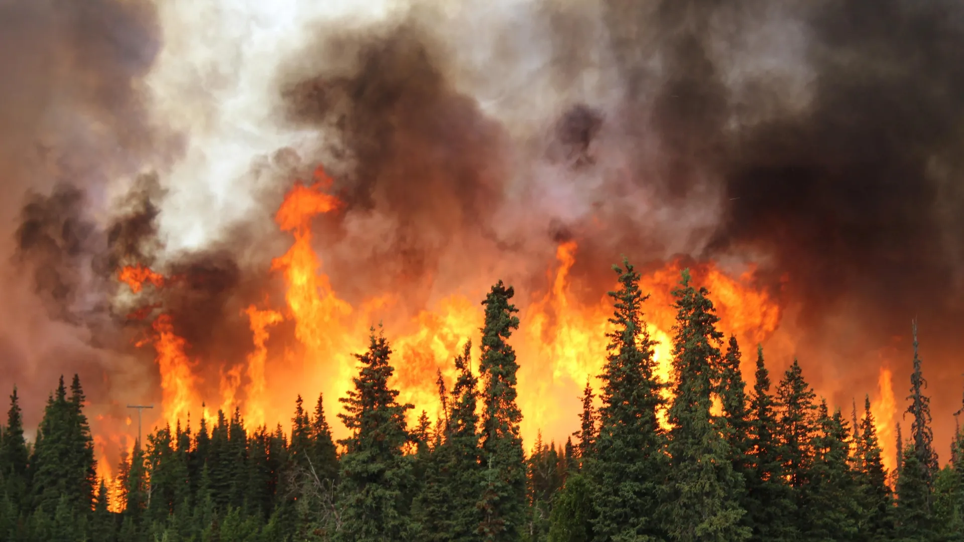 wildfires burning across north america are unleashing a growing public health crisis new study reveals