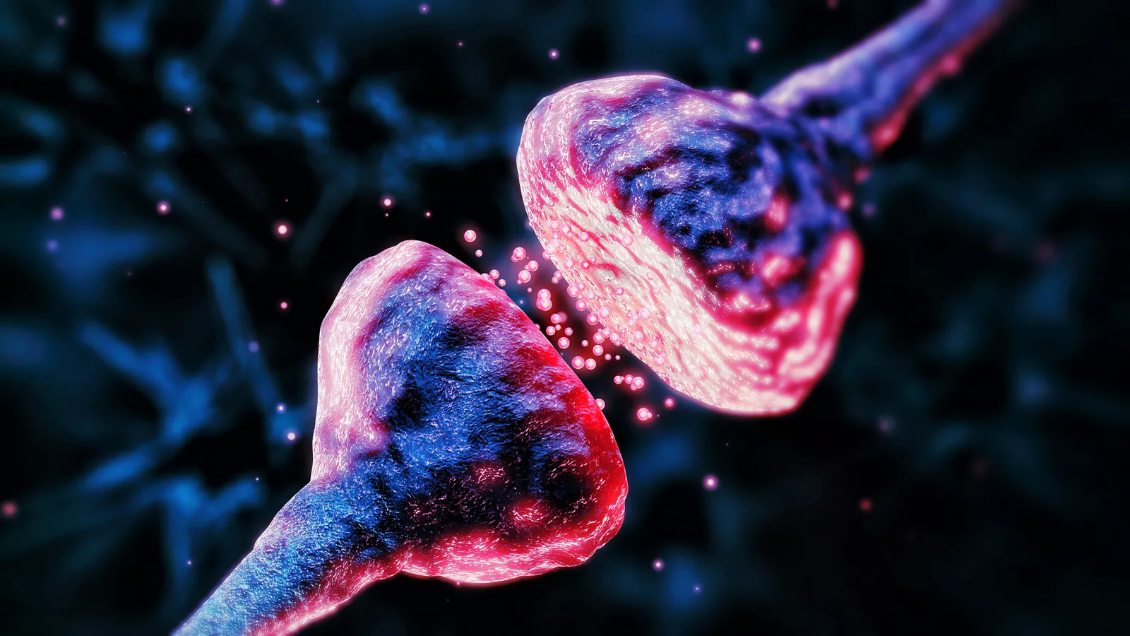 maplight therapeutics schizophrenia drug navigates investor skepticism amidst promising clinical data and broader therapeutic potential