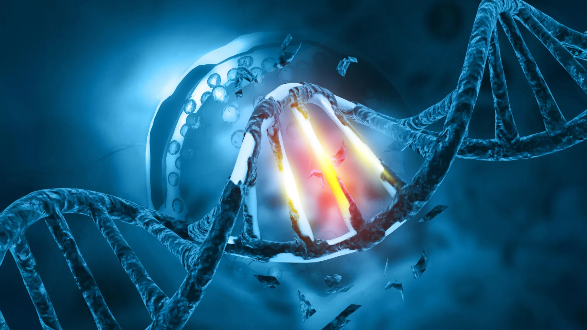this dna repair gene went rogue and exposed a cancer weakness