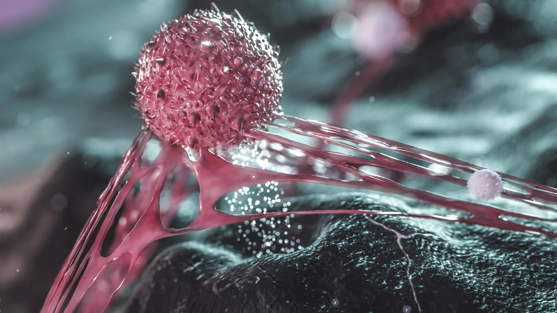 a common sugar may help cancer cells break free and spread