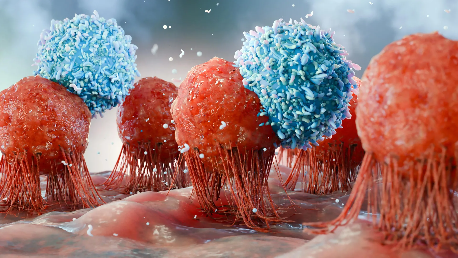 A Dietary Yeast Supplement Boosts Cancer-Fighting Immunity in Obese Mice, Paving the Way for Human Trials 1 a dietary yeast supplement boosts cancer fighting immunity in obese mice paving the way for human trials