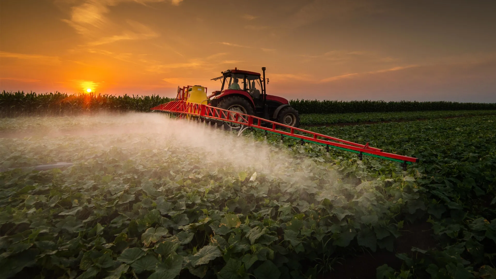 agricultural landscapes and herbicide usage correlated with increased melanoma incidence in pennsylvania counties