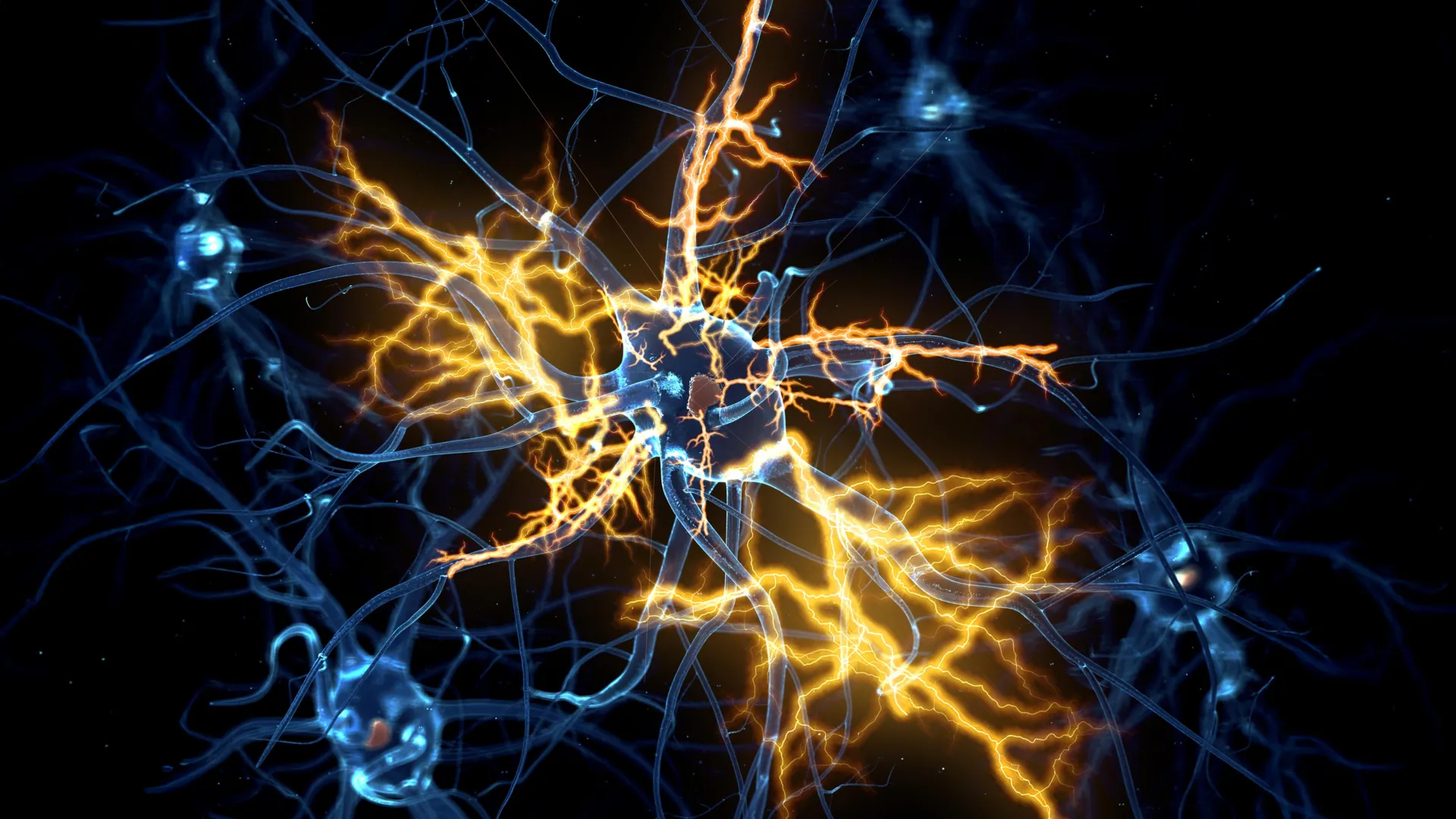 Cambridge Scientists Uncover Potential for Nerve Regeneration in Groundbreaking Organoid Study 1 cambridge scientists uncover potential for nerve regeneration in groundbreaking organoid study