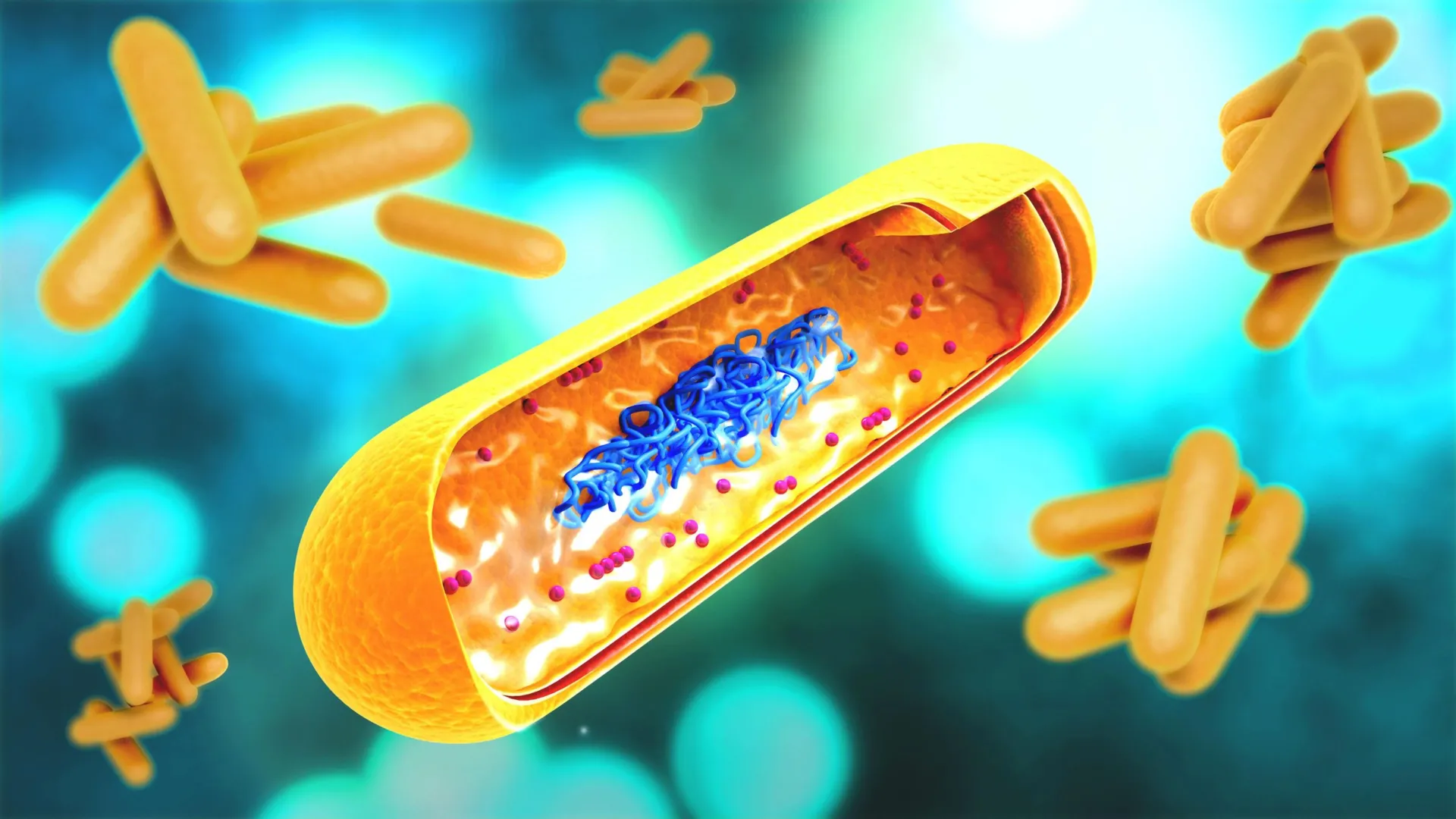 Experimental Intranasal DNA Vaccine Developed by Johns Hopkins Researchers Targets Drug-Tolerant Tuberculosis Persisters to Prevent Disease Relapse 1 experimental intranasal dna vaccine developed by johns hopkins researchers targets drug tolerant tuberculosis persisters to prevent disease relapse