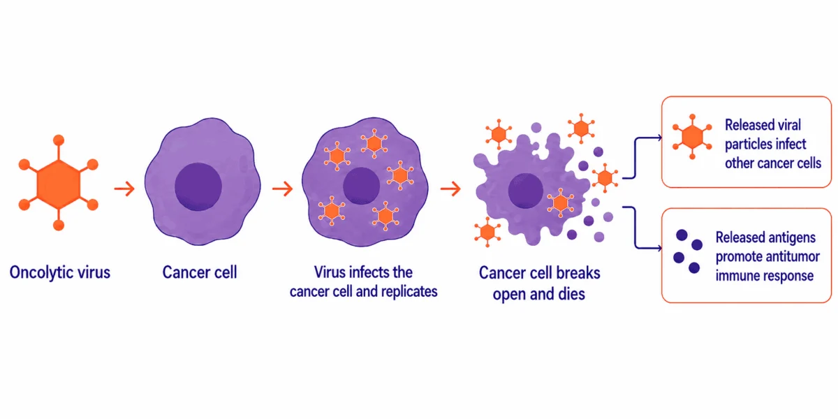 fda grants accelerated approval to tudriqev marking a decade plus milestone in oncolytic virus therapy for advanced melanoma