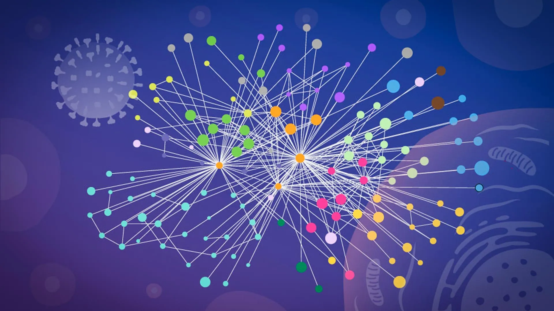 new molecular map reveals how the flu virus hijacks human cells