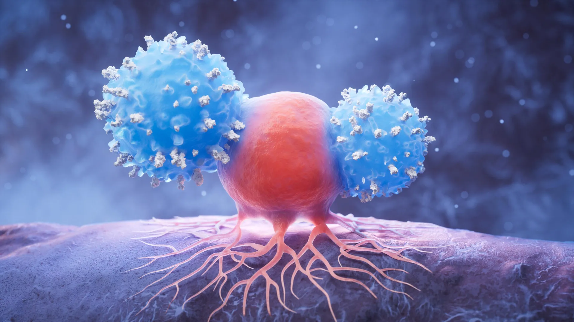 people who live past 110 have an unusual abundance of killer immune cells