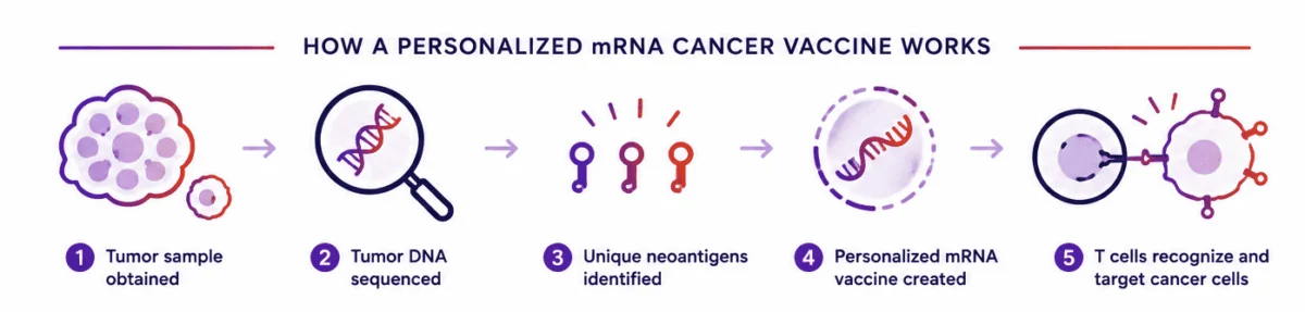 Personalized mRNA Cancer Vaccine and Checkpoint Inhibitor Combination Achieves Historic Phase 3 Success in High-Risk Melanoma 1 personalized mrna cancer vaccine and checkpoint inhibitor combination achieves historic phase 3 success in high risk melanoma