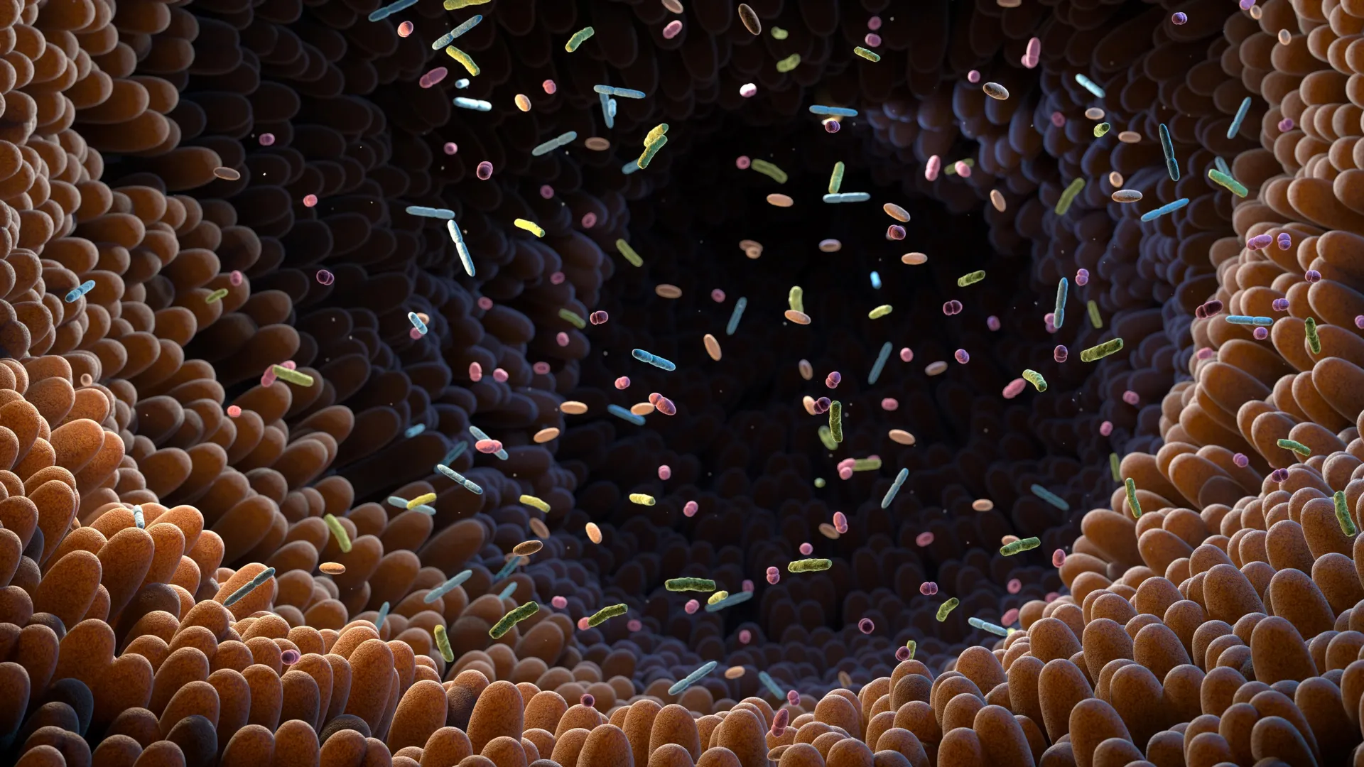 scientists find 15 gut bacteria that may drive heart disease