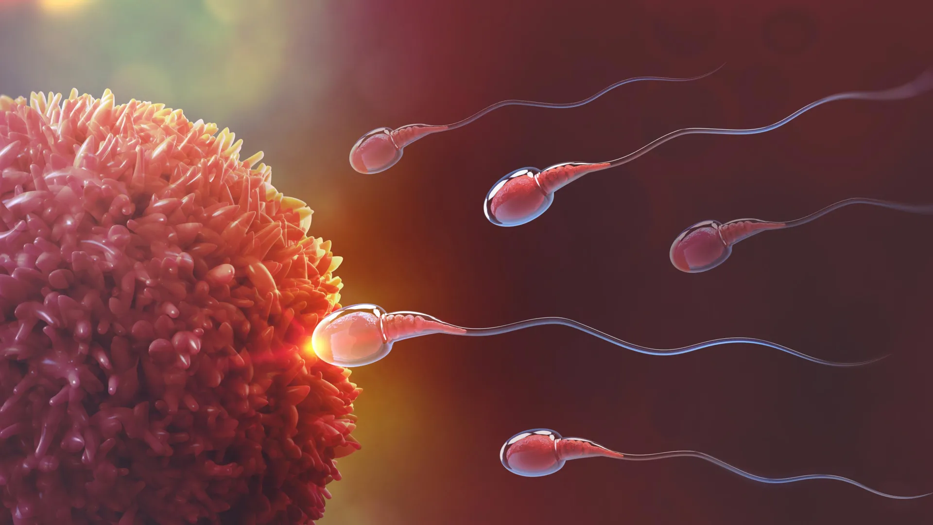 this breakthrough could finally unlock male birth control