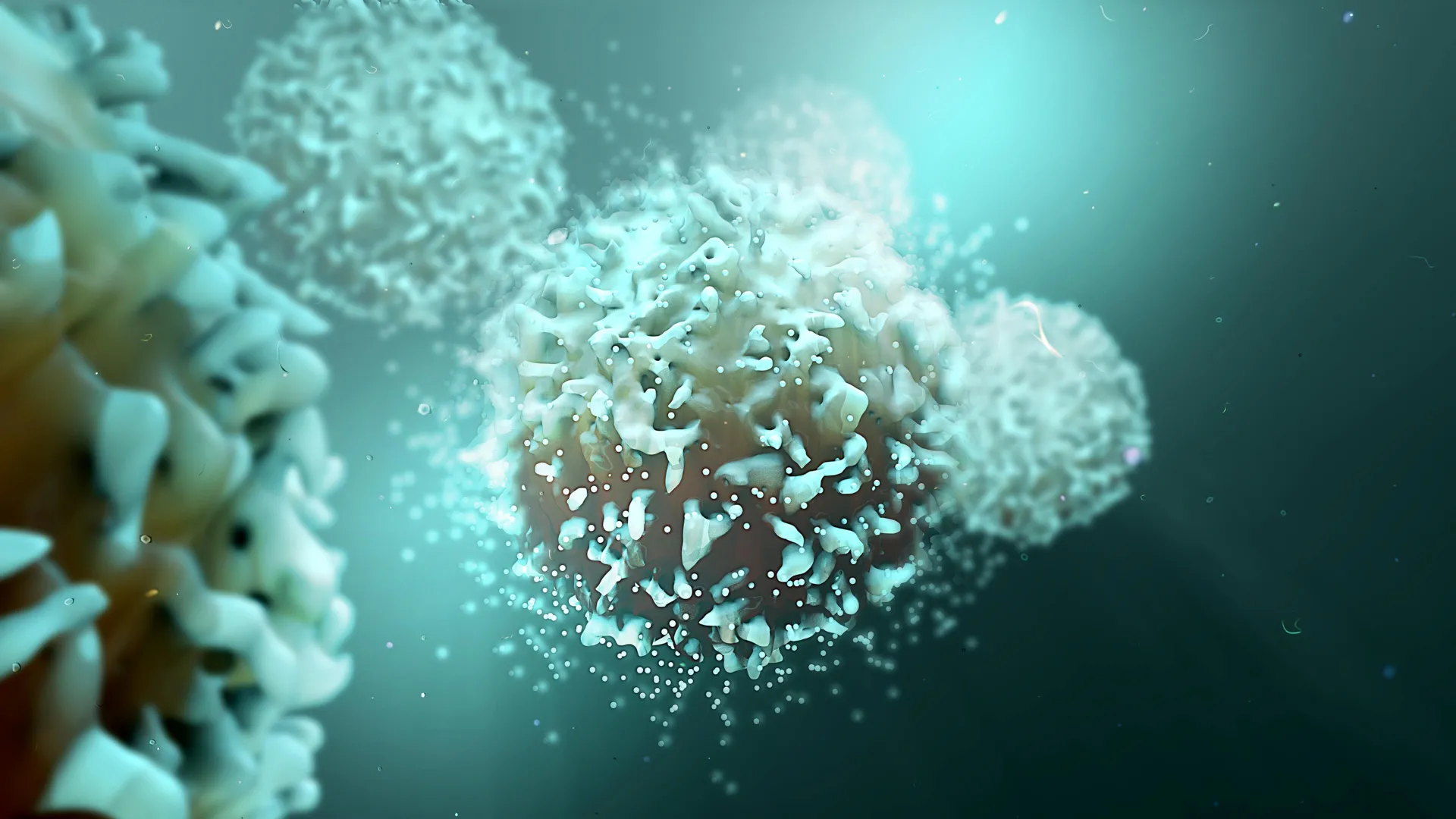 ut southwestern researchers uncover hormone receptor mechanism shielding cancer cells from immune attack