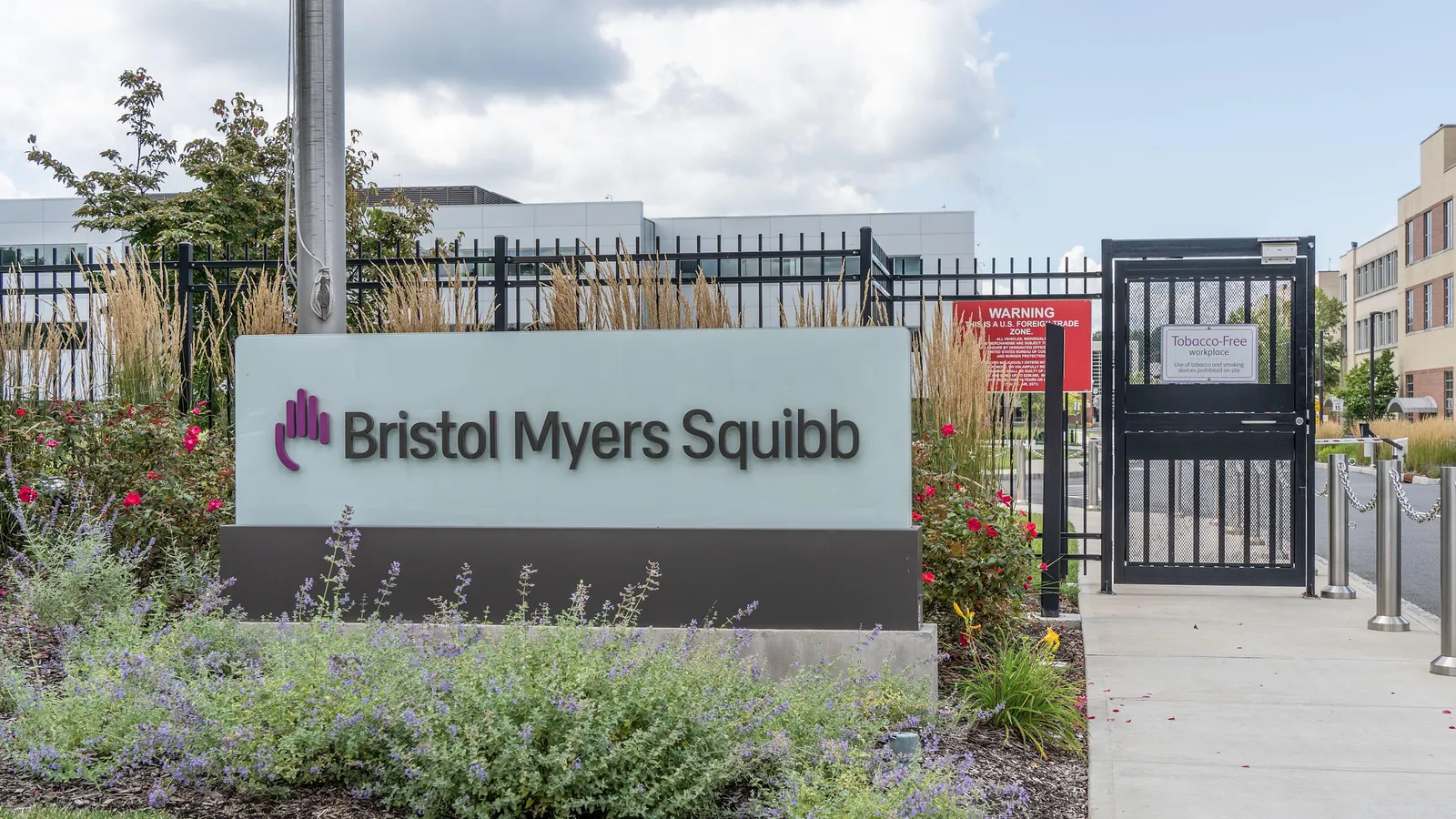 zenbexus clearance marks new era for bristol myers squibbs multiple myeloma franchise