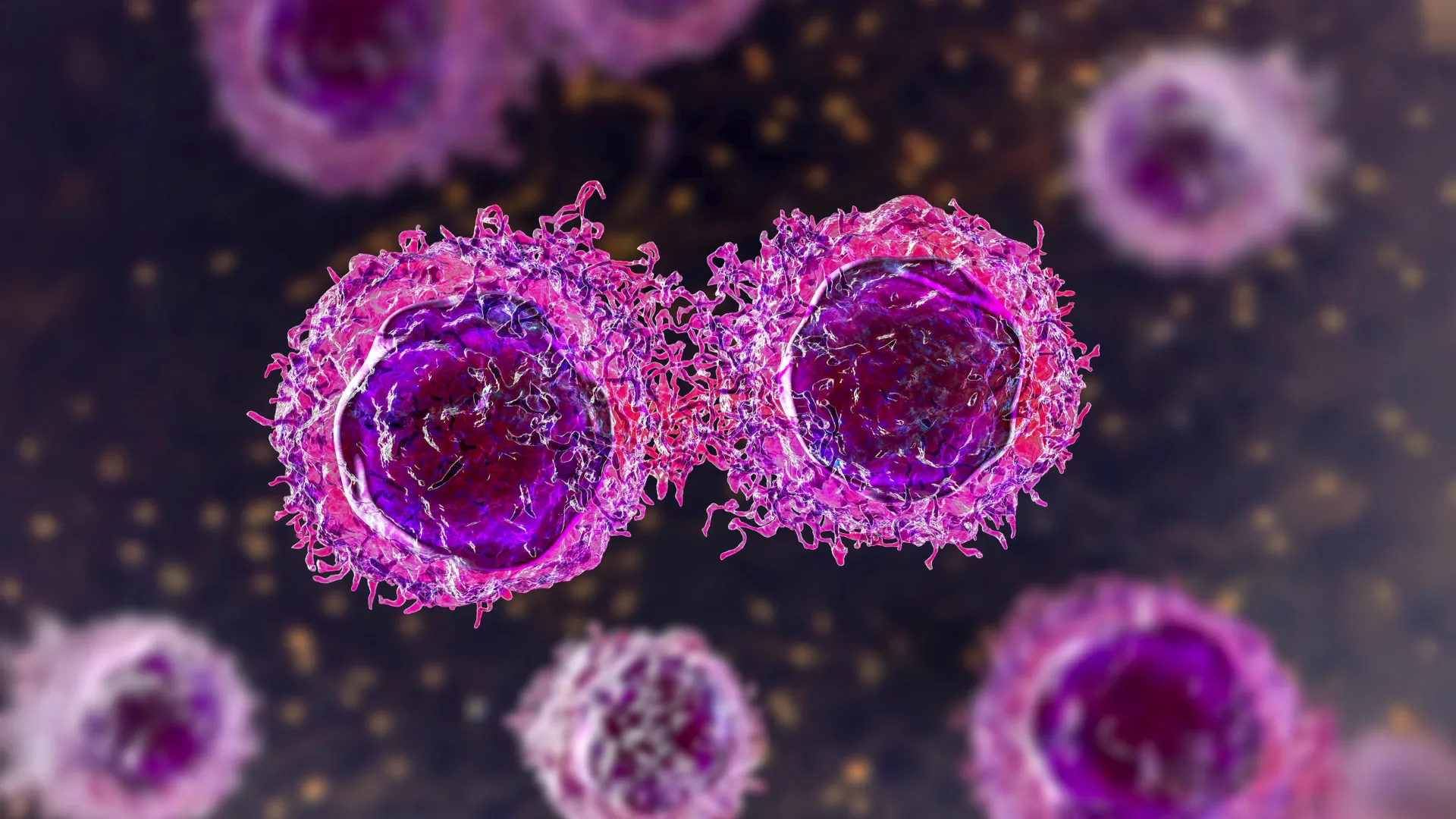 high blood sugar may help cancer cells hide from the immune system 1