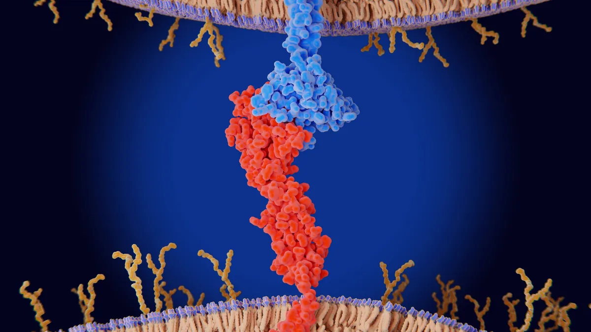 Ivonescimab Demonstrates Significant Overall Survival Advantage Over Keytruda in Landmark Lung Cancer Trial, Signaling Potential Paradigm Shift 1 ivonescimab demonstrates significant overall survival advantage over keytruda in landmark lung cancer trial signaling potential paradigm shift