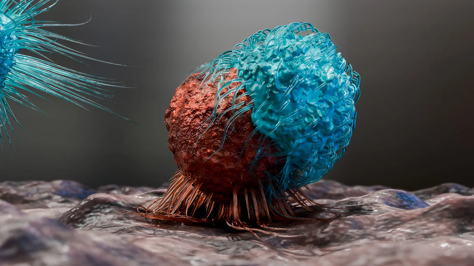 major cell therapy developers novartis and bristol myers squibb halt autoimmune disease trials amid inflammatory side effects