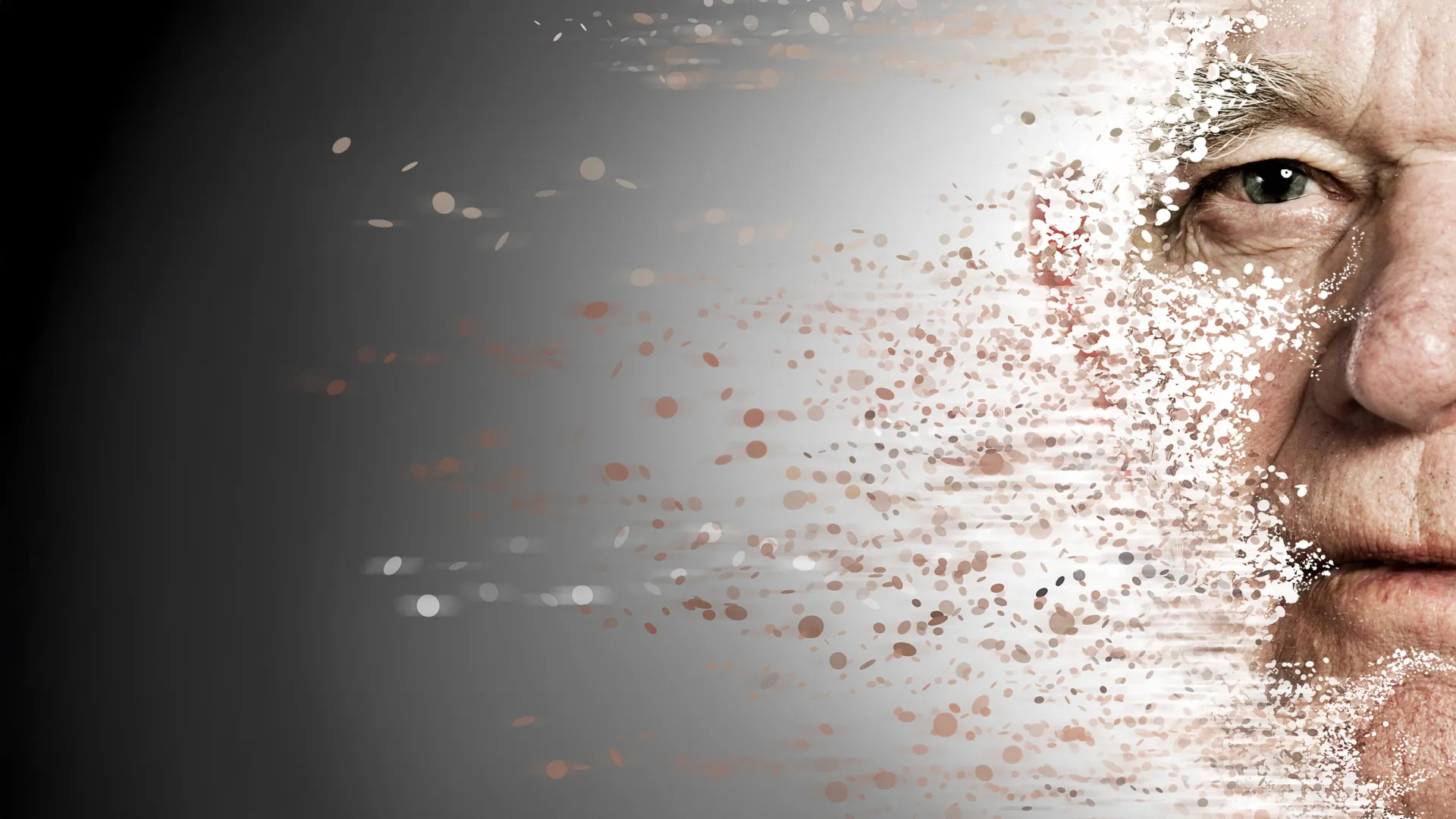 stanford research uncovers key immune system failure driving systemic aging offering new therapeutic pathway