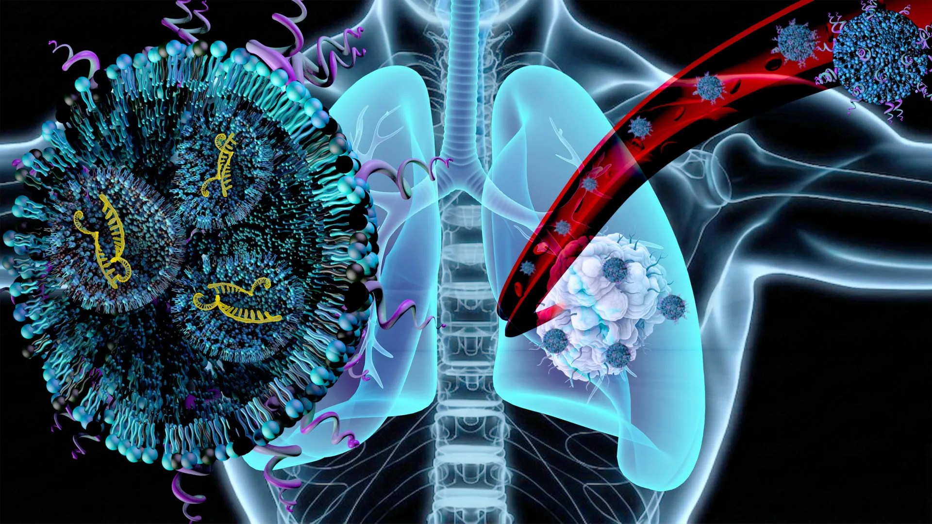 Oregon State University Researchers Develop Targeted mRNA Nanoparticle Therapy to Combat Lung Cancer and Muscle Wasting Disease 1 oregon state university researchers develop targeted mrna nanoparticle therapy to combat lung cancer and muscle wasting disease