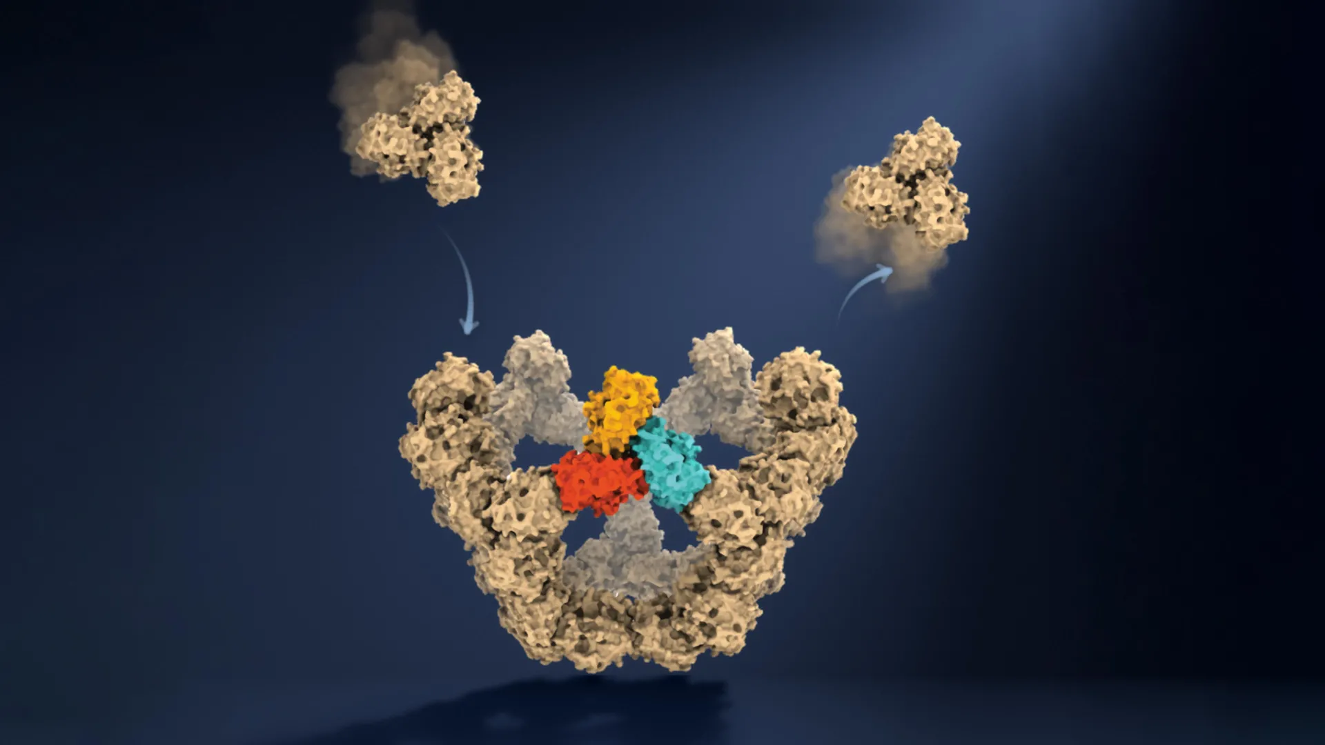 oxford researchers uncover molecular rules of viral self assembly paving way for new antivirals
