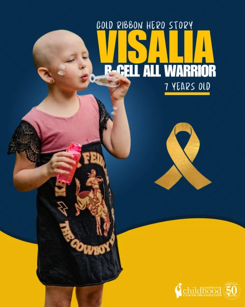 Resilience in the Face of Adversity: The Journey of Visalia and the Broader Landscape of Pediatric B-Cell Acute Lymphoblastic Leukemia 1 resilience in the face of adversity the journey of visalia and the broader landscape of pediatric b cell acute lymphoblastic leukemia