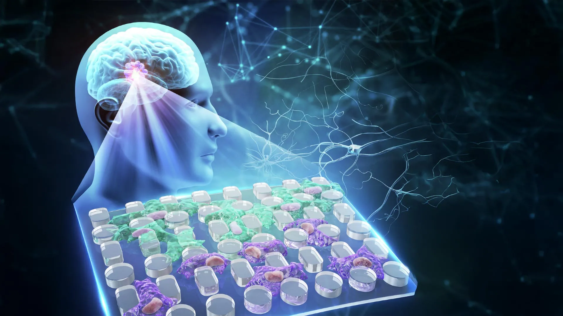 unlocking the secrets of glioblastoma fluid viscosity emerges as a crucial factor in brain cancer invasion