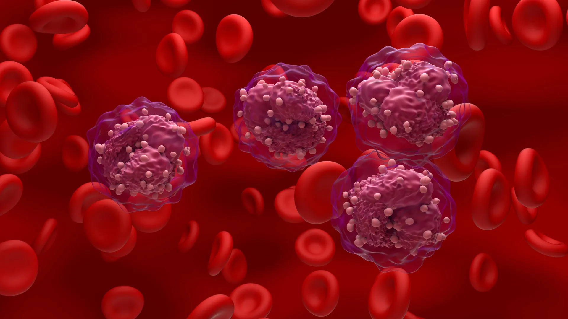 vitamin c shows promise in early intervention for precancerous blood disorders and leukemia